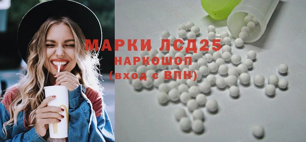 шишки Верея
