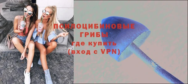 винт Верхний Тагил