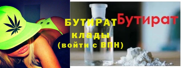 шишки Верея