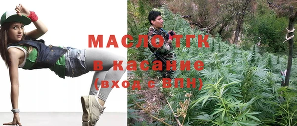 шишки Верея