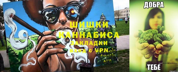 шишки Верея