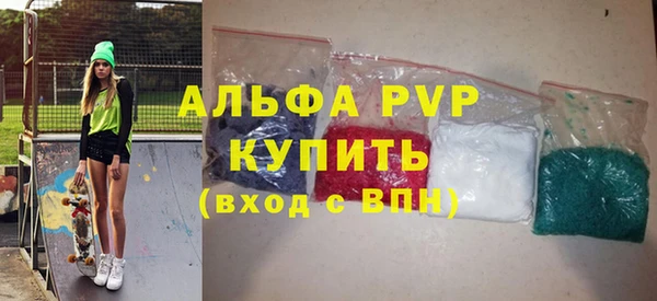 шишки Верея