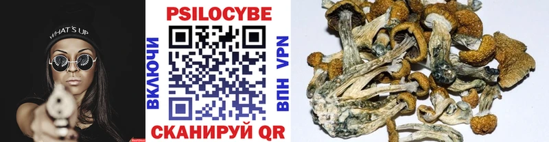 Галлюциногенные грибы ЛСД  Купить закладки  Карабаново 